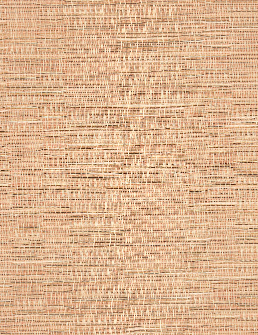 Обои Pierre Frey Sofia FP863004