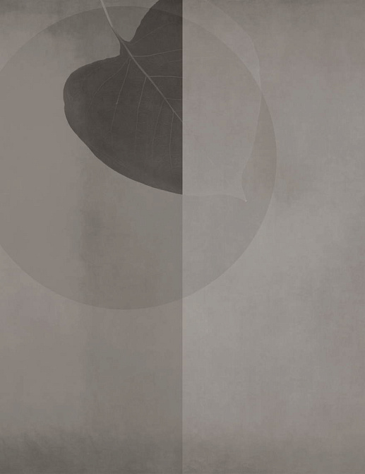 Обои Glamora Creative Wallcovering GLX392A