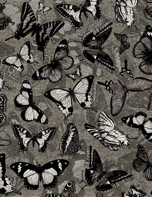 Панно и фотообои Wall & Deco 2015 WDCM0502