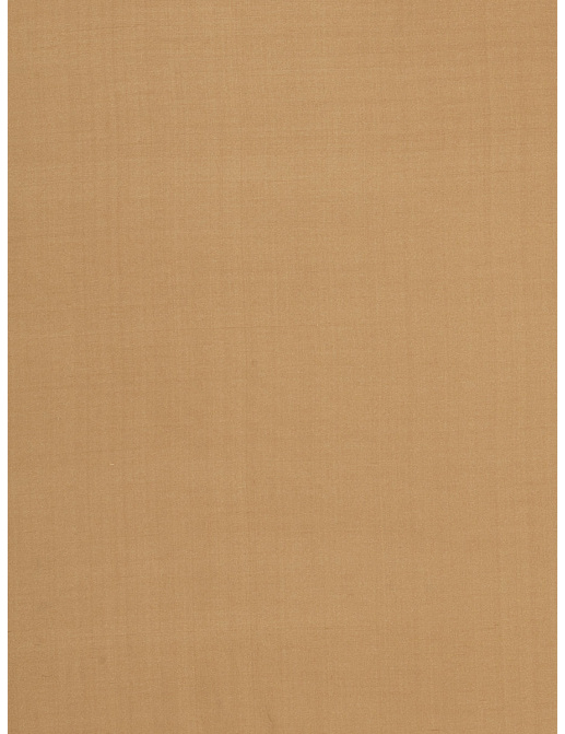 Ткань Fabricut Douppioni Silk Vol.II Multipurpose Douppioni silk/Tapa