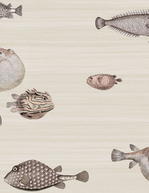 Обои Cole & Son Fornasetti II 97/10031