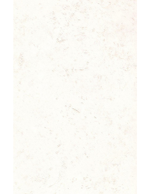 Обои Arte Imagine Arezzo 49019