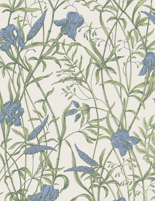 Обои Cole & Son Classics Collection Vol. II 128/5023