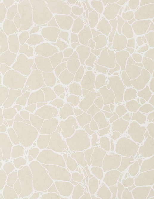 Обои Thibaut Surface Resource T4014