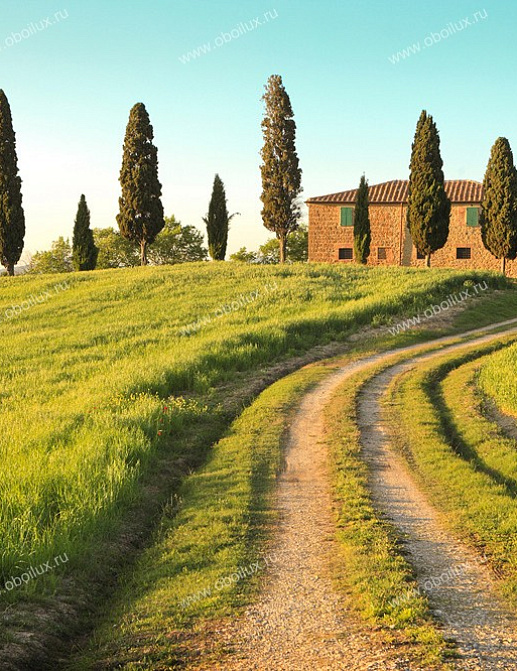 Панно и фотообои A. S. Creation XXL II 311 Toscana Summer 