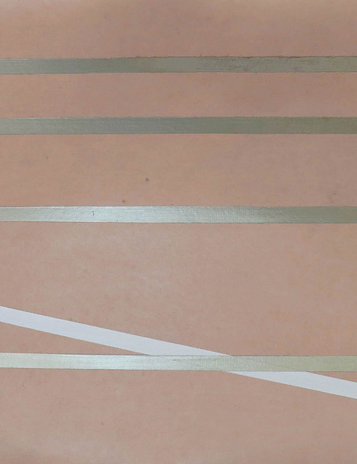 Обои Fromental Roomskins Lacets/Ribbon