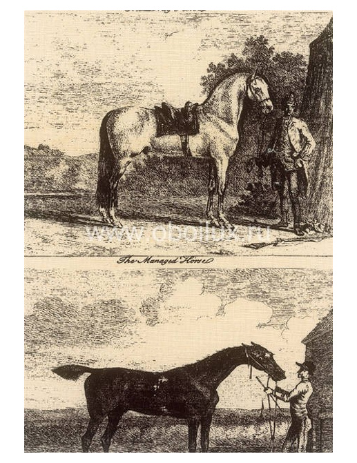 Обои Lewis & Wood Book I - Sporting & Character LW95106/Gilpin Horses Black