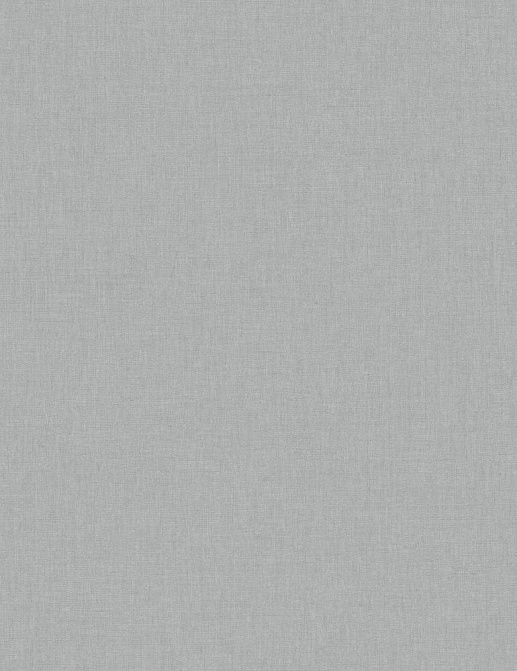 Обои Caselio Linen II INN68529743