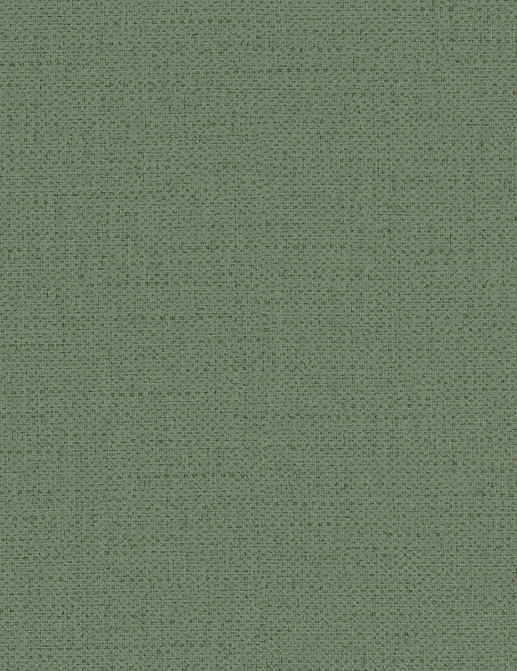 Обои Texdecor Acoustic Vinyl Wallcoverings INEN91610412