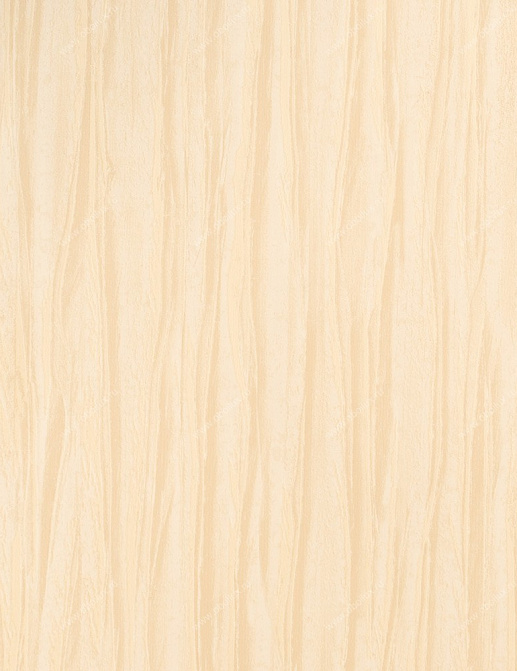Обои Studio 465 Brasilia EL90703