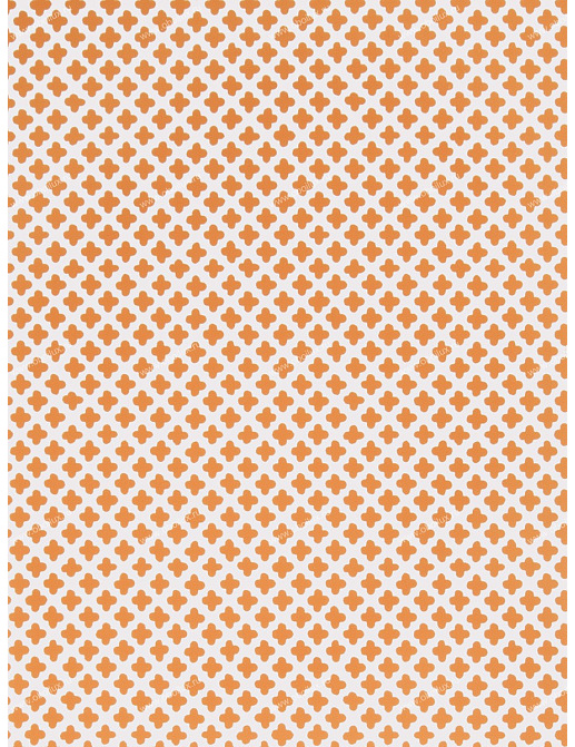 Обои Stroheim Dana Gibson Little Lanin/Orange