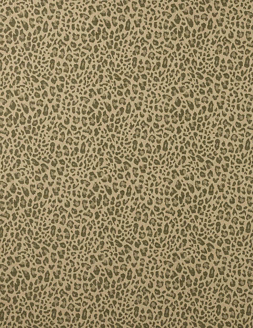 Ткань Colefax and Fowler Chester F4854/05