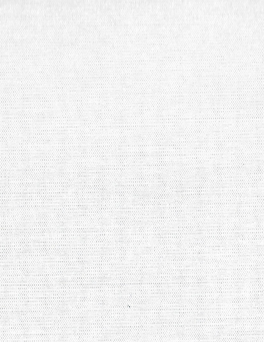 Обои Yana Svetlova Wallcoverings NOW Art Silk SLK-01