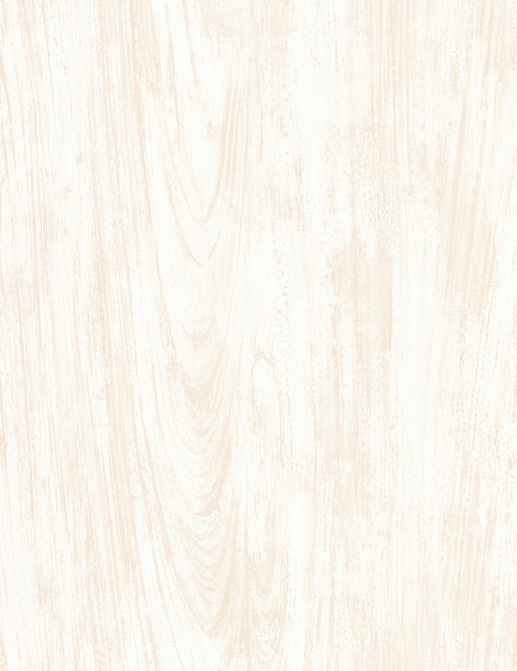 Обои A. S. Creation Long Island 8690-43
