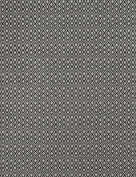 Ткань Thibaut Woven Resource vol.7 Companions W79644