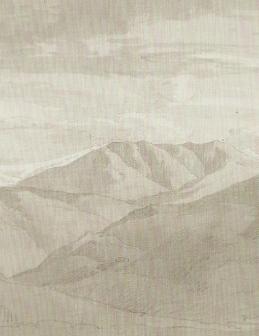 Панно и фотообои Aquarelle Juno 96817