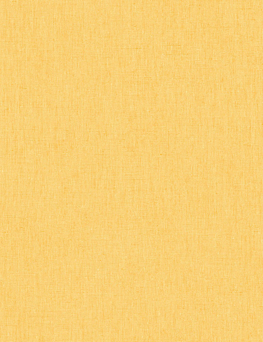 Обои Caselio Linen II INN68523115