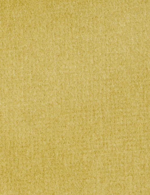 Ткань Alessandro Bini Velluto di Cotone G075/857