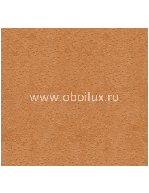 Обои York Ronald Redding - Designer Backgrounds II DS1116