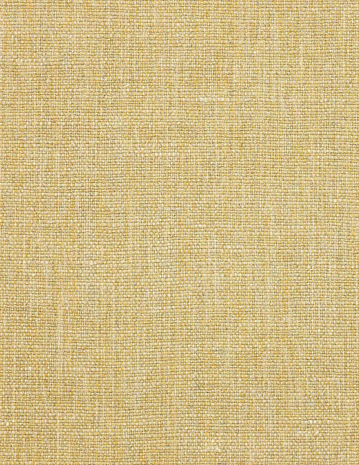 Ткань Colefax and Fowler Kelsea F4674/09