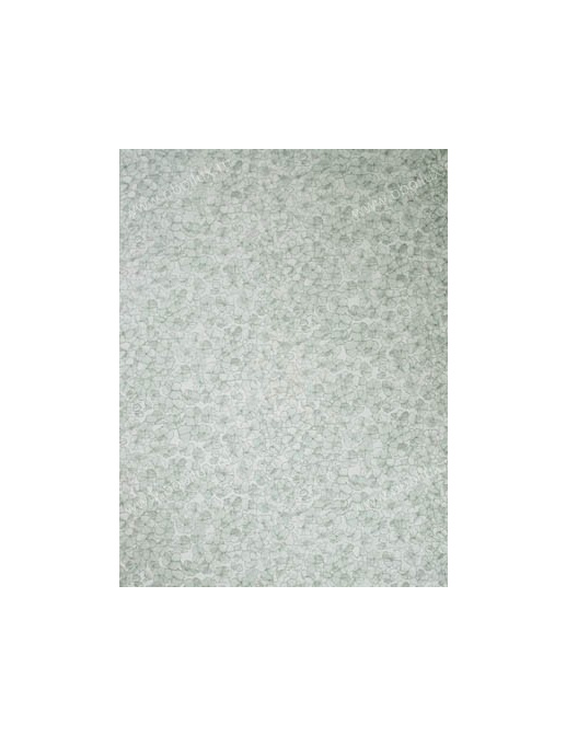 Обои Nina Campbell Montacute NCW4063-02