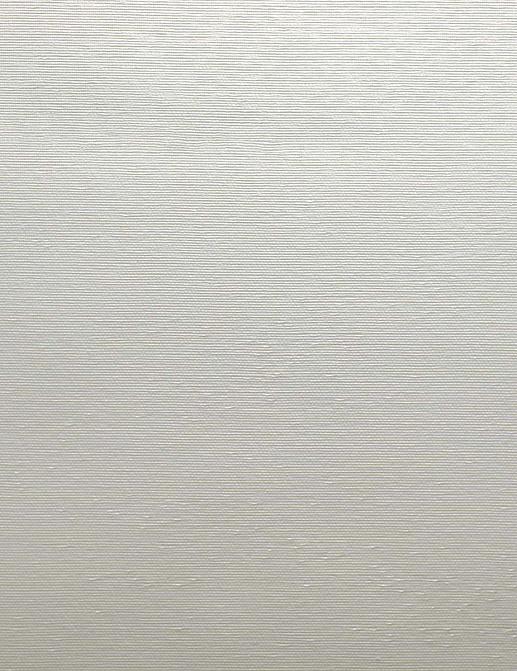 Обои Carl Robinson Edition 20 White Natural Textures CL50065