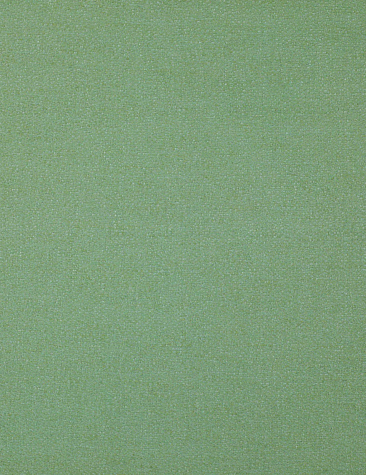 Ткань Manuel Canovas Pontac 04989/07