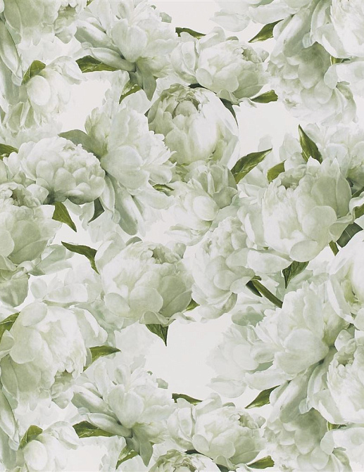 Обои Designers Guild Foscari Fresco with paint Litho PDG1094-03