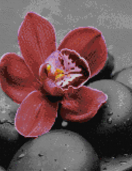 Обои Mozzle Floral MZ00520-001