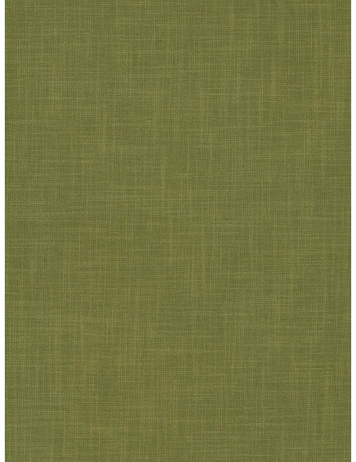 Ткань Fabricut Solids By Color Seaglass Whatley/Leaf