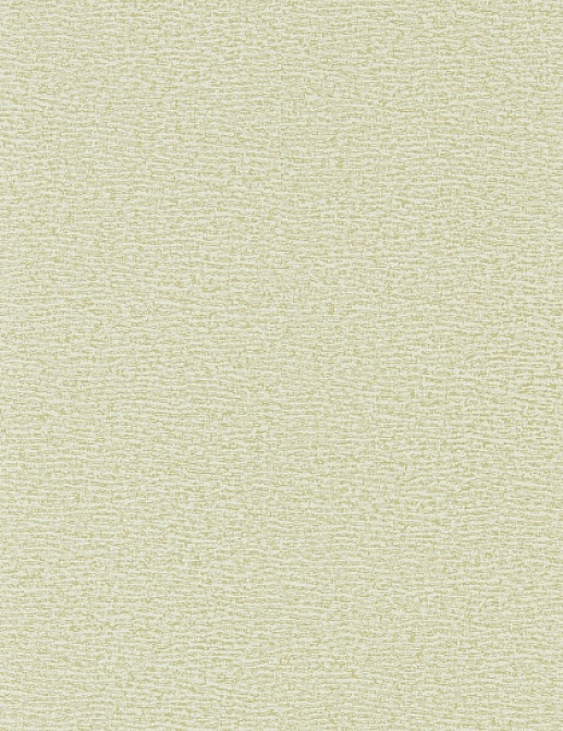 Обои Oxford Street Papers Fine English Wallpapers Vol. I AREM01