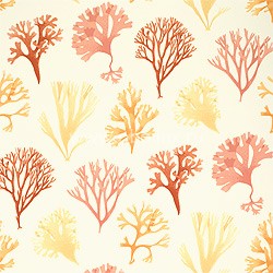 Обои Thibaut Seaside T6741