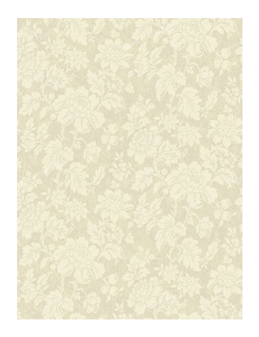 Обои Wallquest Domaine ES21007