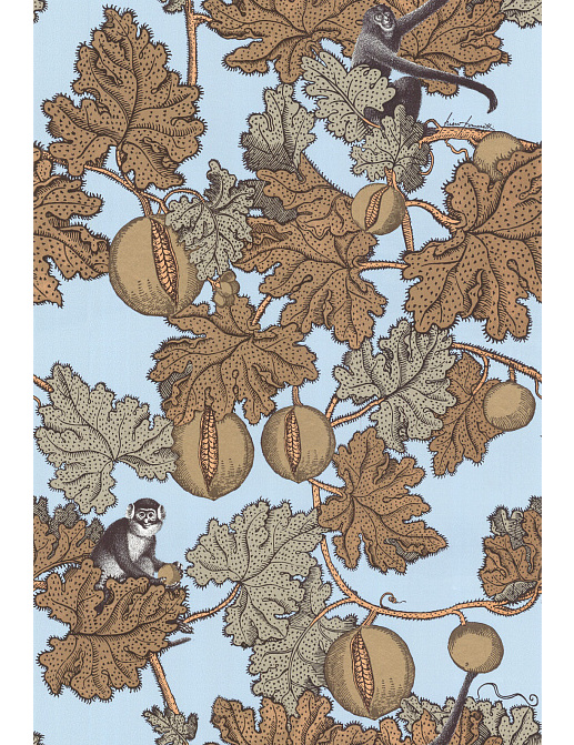 Обои Cole & Son Fornasetti 77/12046