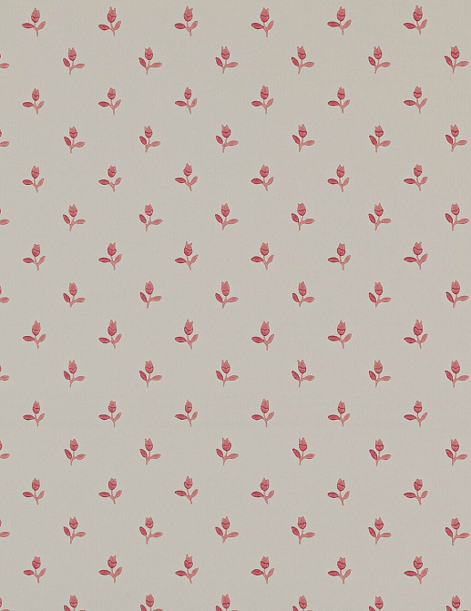 Обои Colefax and Fowler Small Design Wallpapers II 07986/05