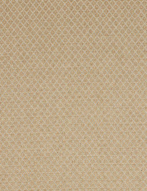 Ткань Colefax and Fowler Amersham F3624/07