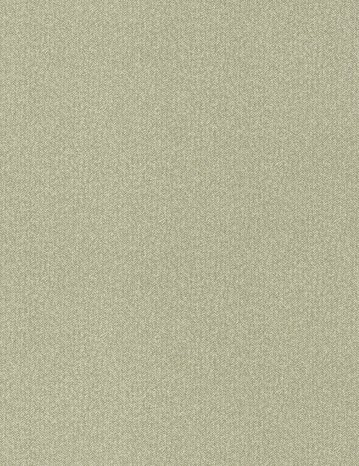 Обои Caselio Chevron CVR102227341