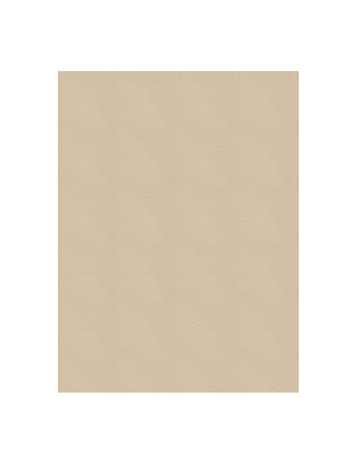 Ткань Fabricut Chromatics Vol.XXII Golden Takaya/Sand