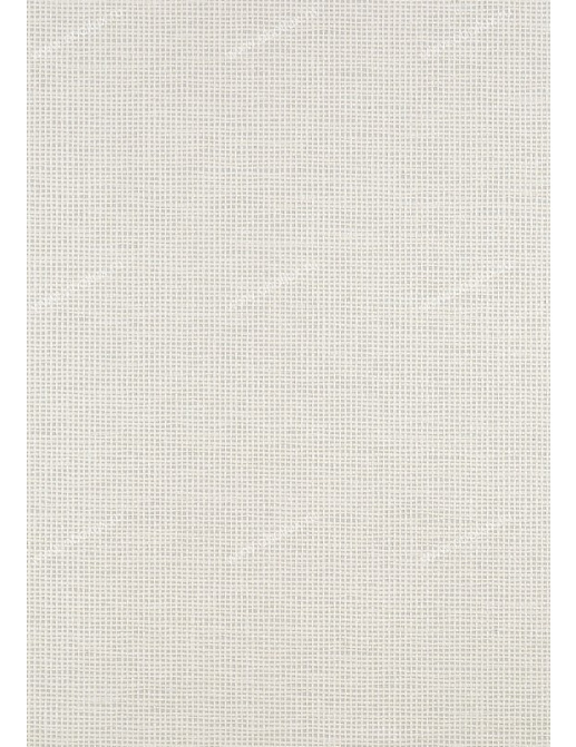 Обои Thibaut Enchantment T36141