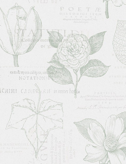 Обои Collection For Walls Northern Feelings 200604