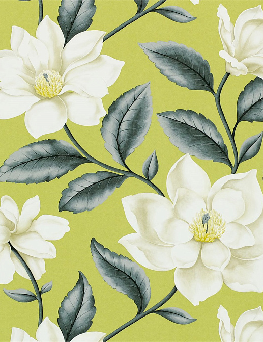 Обои Sanderson Wallpapers from a Painters Garden DAPGGR101