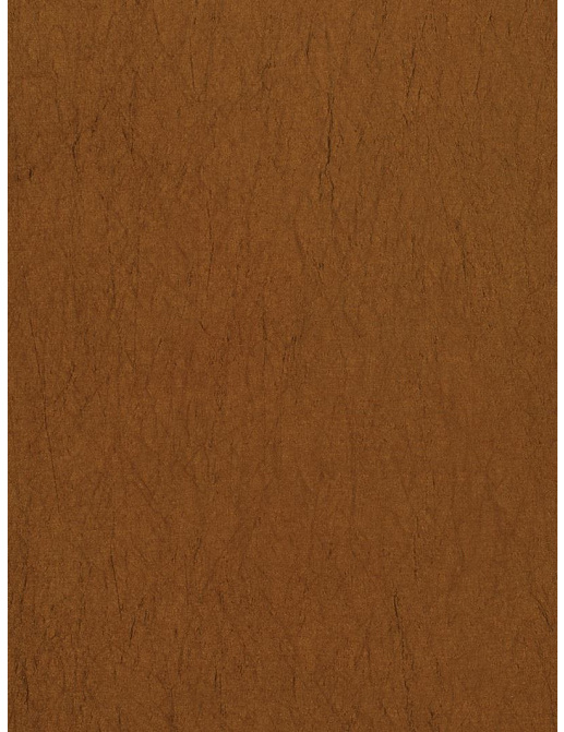 Ткань Trend Silky Solids Drapery 02838/Chocolate