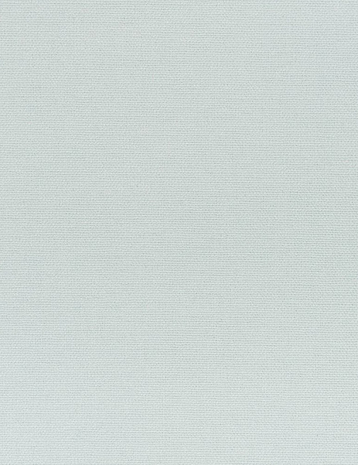 Ткань Designers Guild Madrid FDG2797/06