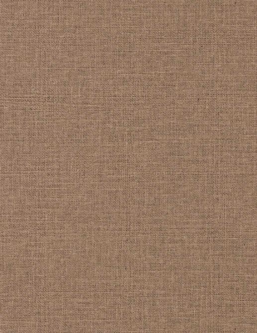 Обои Caselio Jute JTE104012008