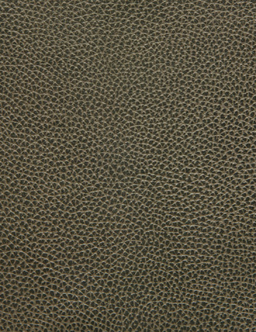Ткань Holly Hunt Holly Hunt Leather 6013/08
