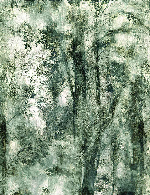 Панно и фотообои Tenue de Ville Ode Mist Gold/ODE-191802