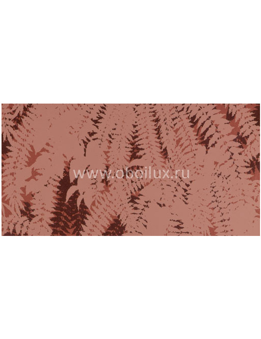 Обои Hookedonwalls Jealous Walls 77106