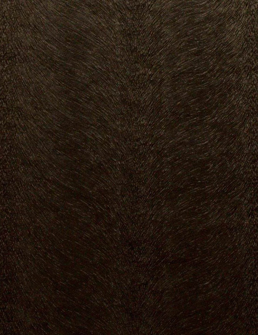 Ткань KAI Allegra Allegra/Chocolate
