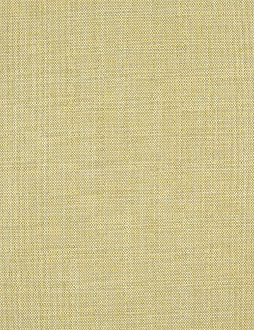 Ткань Designers Guild Opera FDG2701/29