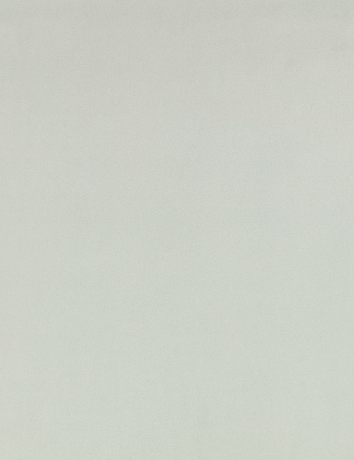 Ткань Zinc Z Suede Z794/27